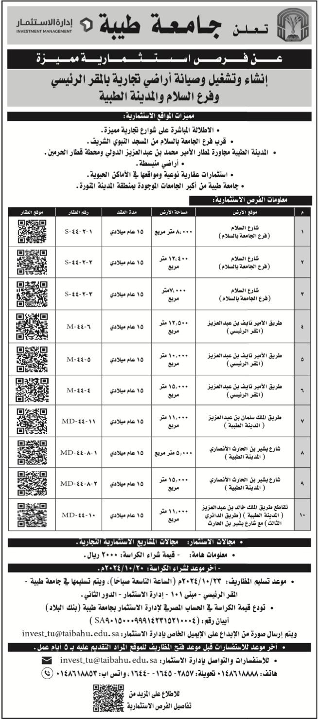 جامعة طيبة